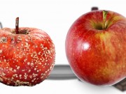 Dacă ai şti ce se află în mâncarea ta, probabil ai arunca tot din frigider. Iată de ce să nu faci asta