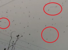 Pun pariu că nu ştii ce-s chestiile negre de pe cer