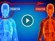 Primul transplant de cap ar putea fi realizat în următorii doi ani