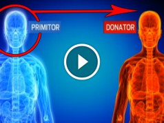 Primul transplant de cap ar putea fi realizat în următorii doi ani