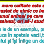 banc-studenti-medicina