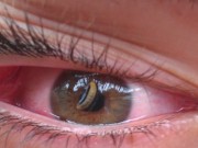 11 imagini care îţi vor da fiori. Cât rezişti?