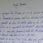 scrisoare-deschisa-catre-simona-halepp