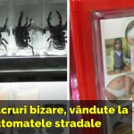 produse-automate-stradale