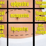 Harta-abdominala-a-durerilor-1