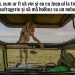 imagini-amuzante-rau5