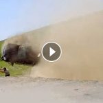 accident-groaznic-video
