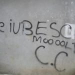te-iubesc-moolt