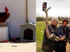 13 imagini de pe meleagurile noastre, care te vor amuza teribil imagini amuzante romania