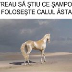 imagini-amuzante-scris