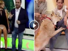 Momente penibile surprinse în direct la televizor, care te vor face să râzi garantat (VIDEO)