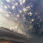 imagini-needitate12