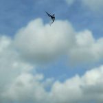 imagini-needitate9