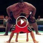 sumo-vs-mma