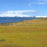 antarctica-devine-verde
