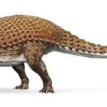 fosila-dinozaur-canada3