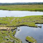 harta-lumii-in-spatele-casei2