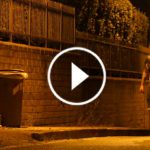 fata-posedata-video