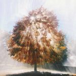 fotografii-la-momentul-potrivit1