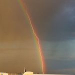 fotografii la momentul potrivit12