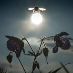 fotografii la momentul potrivit2