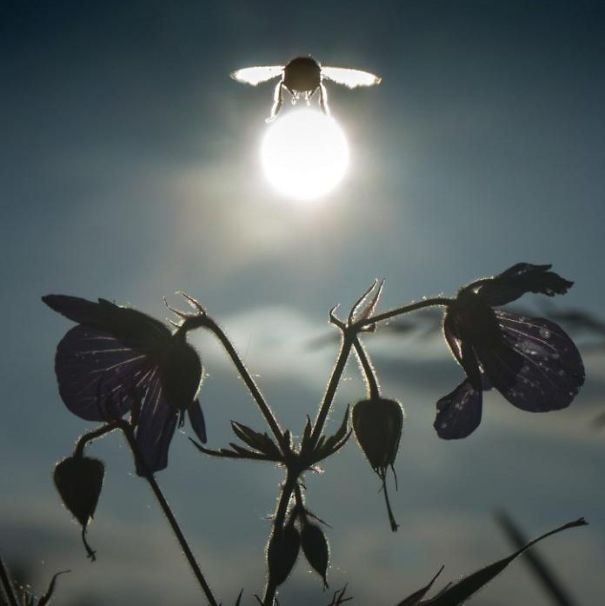 fotografii la momentul potrivit2