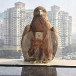 fotografii-la-momentul-potrivit6