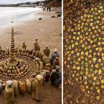 artist-mandala-pe-strada-feat