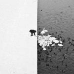 imagini-needitate-feat