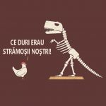ce-ar-spune-lucrurile-daca-ar-vorbi4