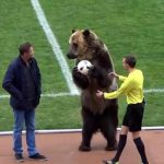 urs-la-meci-de-fotbal