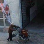 imagini-amuzante-care-bere-cu-carucior