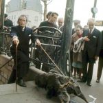 imagini-istorice-rare–dali-furnicar