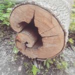 imagini-interesante-pentru-o-zi-buna