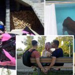imagini-amuzante-zi-relaxanta-featured