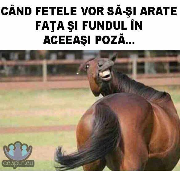 can fetele vor sa