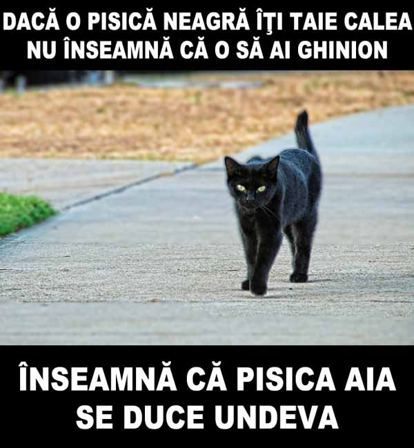 poze amuzante cu scris