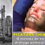 picatura-chinezeaca-feat