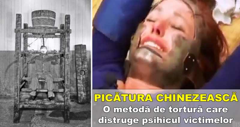 picatura chinezeasca