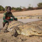 imagini-amuzante-animale-de-companie