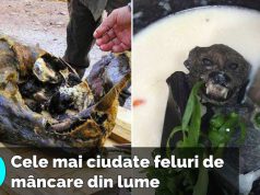 10 mâncăruri ciudate, care îţi vor tăia pofta de mâncare pentru totdeauna mâncăruri ciudate