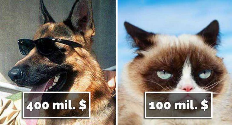 cele mai bogate animale din lume