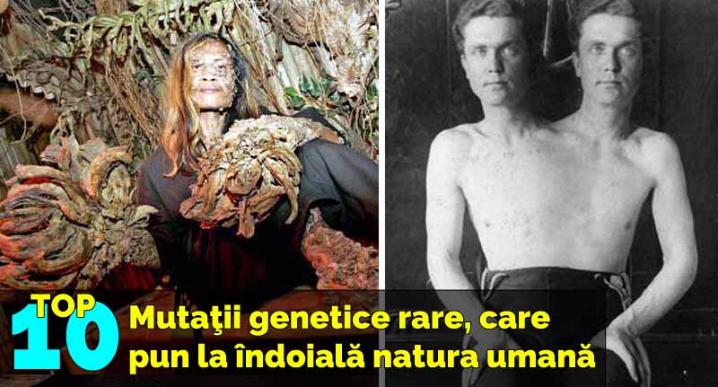 mutatii genetice