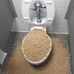 cereale-in-wc