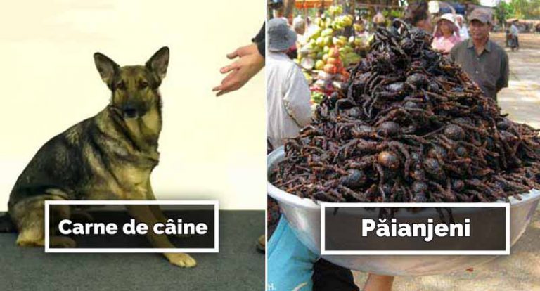 ani.male pe care le mănâncă oamenii