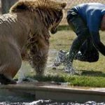 selfie-cu-ursul