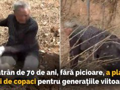 Un bătrân de 70 de ani, fără picioare, a plantat mii de copaci în satul în care locuiește a plantat mii de copaci