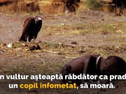 Copilul înfometat – A luat premiul Pulitzer, dar a cauzat depresie copilul înfometat