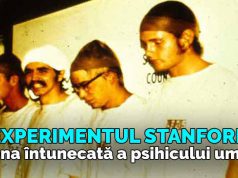 Experimentul Stanford – zona întunecată a psihicului uman experimentul stanford