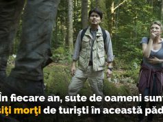 În pădurea Aokigahara, un loc sinistru, şi-au pierdut vieţile mii de oameni pădurea sinucigaşilor